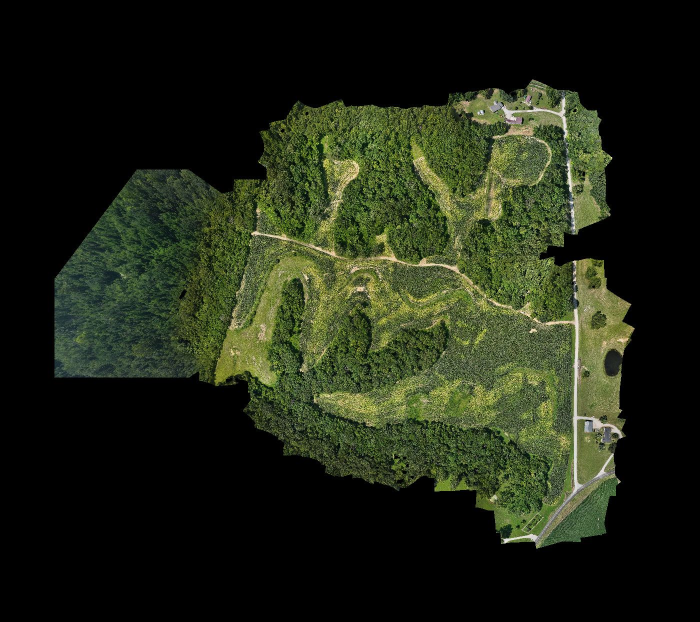 Aerial mosaic of Tony's sampling area